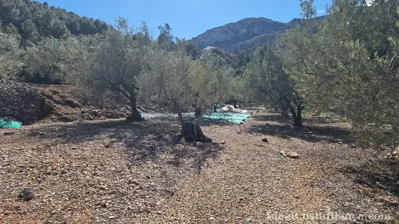 Terreno con construcción a reformar en Confrides - 23